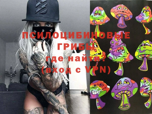 винт Алзамай