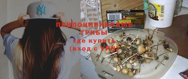 метадон Алексин