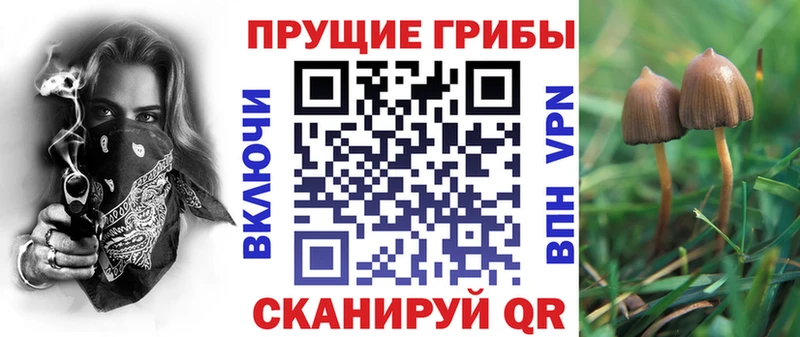 Псилоцибиновые грибы мухоморы  Узловая 